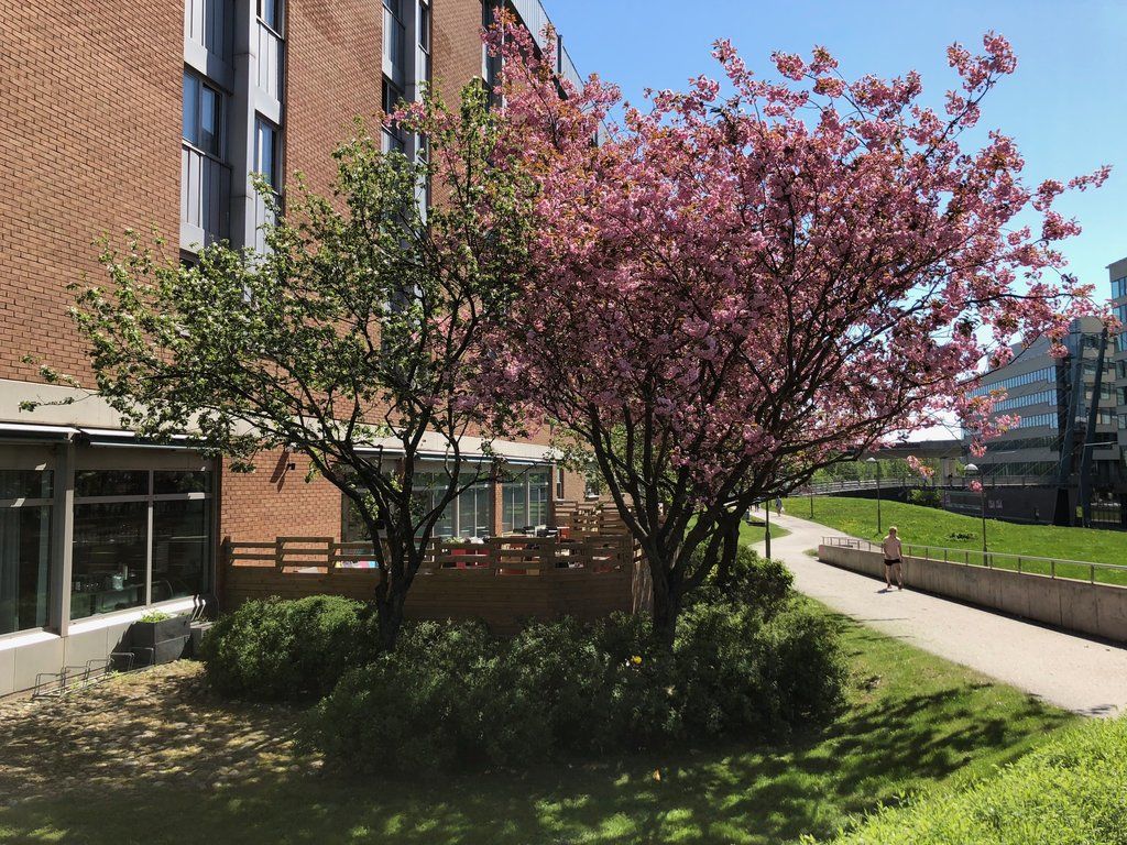 Scandic Kista Стокгольм Экстерьер фото